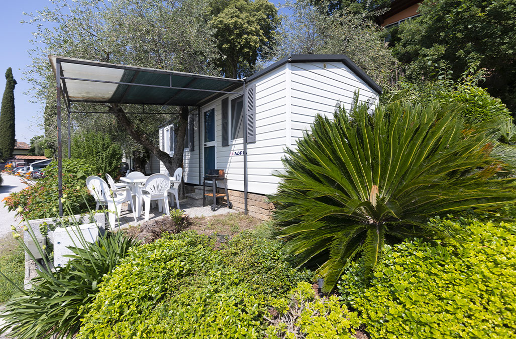 Maxi Caravan Deluxe ELISA