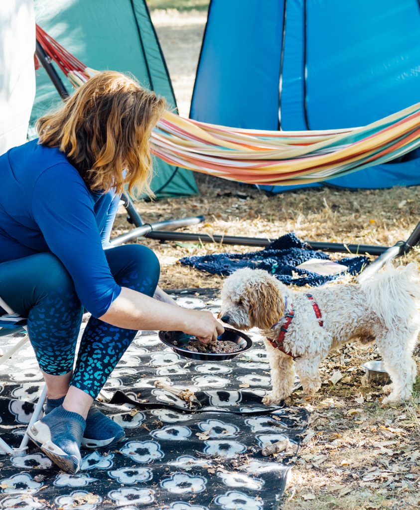 Op vakantie met uw hond